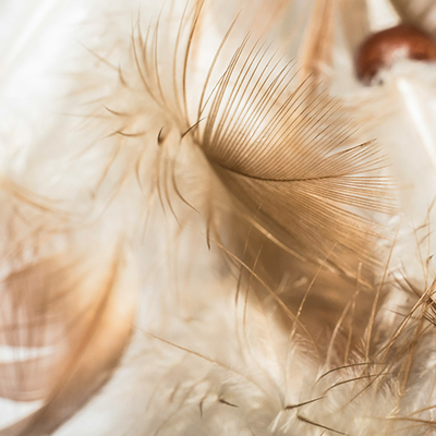 De zwaargewicht in lichtgewicht